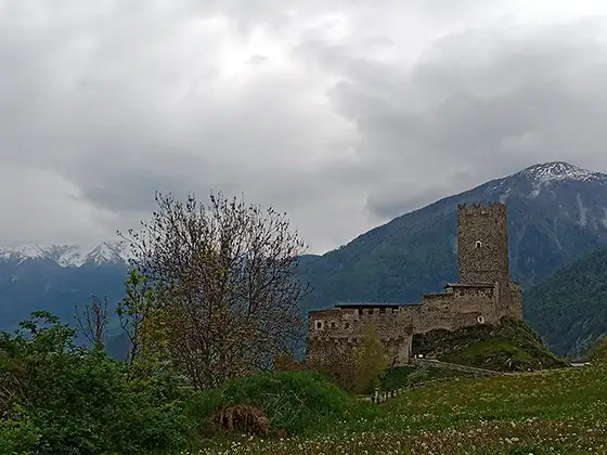 Burgen in Südtirol